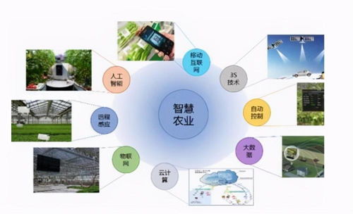 智慧農業中的數據處理服務 賦能現代農業的四大關鍵點